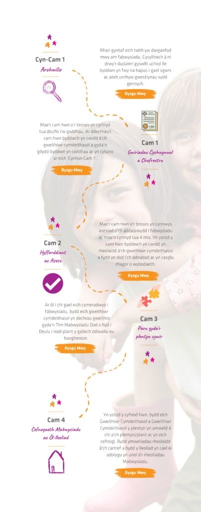 Vertical Process Diagram - Welsh - Western Bay Adoption Services